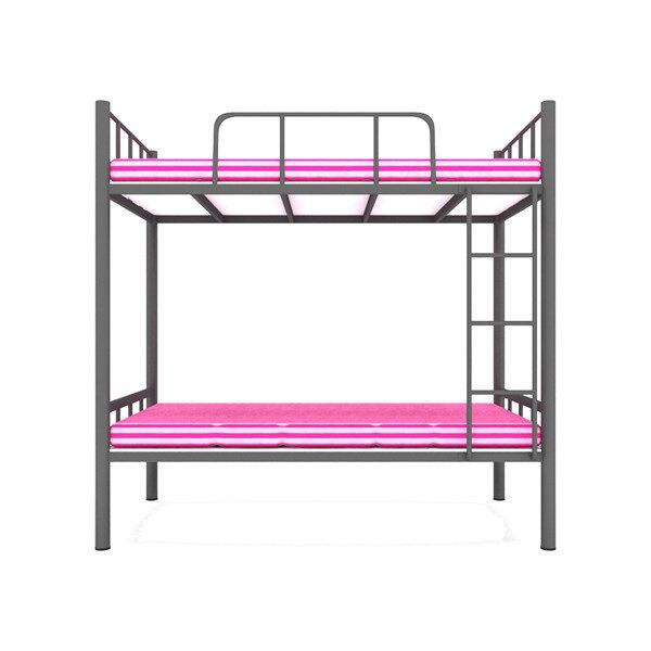 Lakecity Furniture Metal bunk bed in udaipur - 5